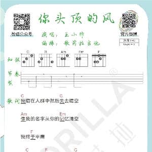 你头顶的风 吉他曲谱_歌谱投稿