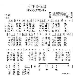 你不必忧伤_歌谱投稿