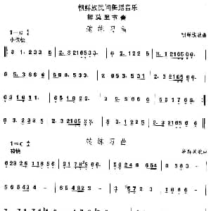 挥莫里节 朝鲜族舞蹈 中国民族民间舞曲选