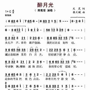 醉月光_歌曲简谱_词曲:文炅 张天赋