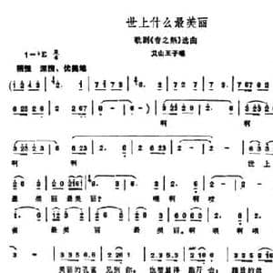 世上什么最美丽_民歌简谱_词曲:王树元 庄德淳
