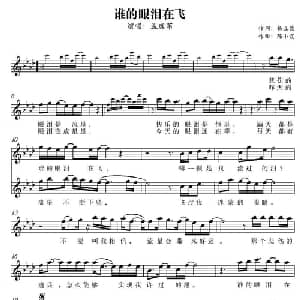 谁的眼泪在飞_通俗唱法乐谱_词曲:杨立德 /陈小霞