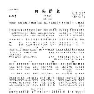 白头偕老_歌曲简谱_词曲:issaki洛 伍仲衡
