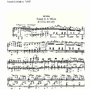 Sonata in A Minor D.537 A小调奏鸣曲D.537