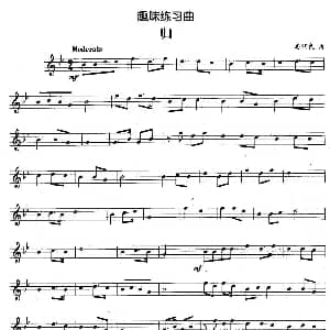 趣味练习曲 归