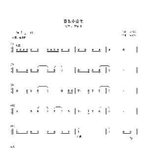 音乐小公主_歌曲简谱_词曲:赵大国 谷继业