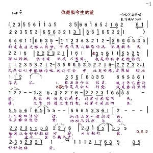 你是我今生的爱_歌曲简谱_词曲:雨禾 雨禾