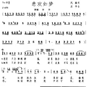 悲欢如梦_通俗唱法乐谱_词曲:风鹏 汪平