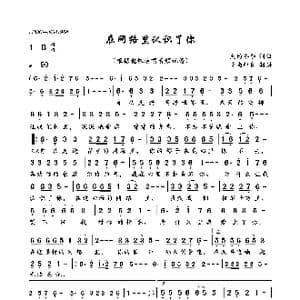 在网络里认识了你_歌曲简谱_词曲:大约冬季 大约冬季