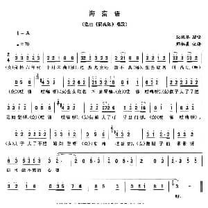 二人转谱 | 海南语 阴魂阵 唱段 耿振琴