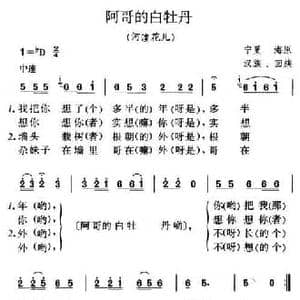 阿哥的白牡丹_民歌简谱