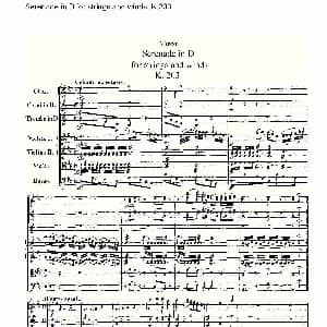 Serenade in D for strings and winds, K.203 D调管弦乐小