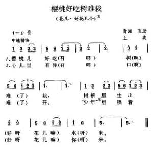 樱桃好吃树难栽_民歌简谱