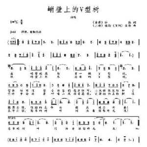 峭壁上的v型树_民歌简谱_词曲:沙浪 楼勤 金海
