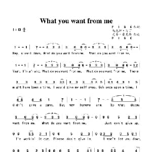 What you want from me_外国歌谱_词曲:PINK 马克斯 马丁,史奇 雷克斯,PINK