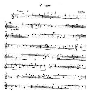 Allcgro 小号