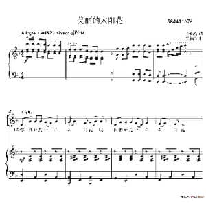 美丽的太阳花合唱谱_歌谱投稿
