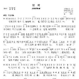 针叶_歌谱投稿