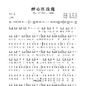 醉心红玫瑰_歌曲简谱_词曲:云中龙 云中龙