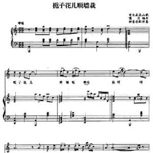 栀子花儿顺墙栽_民歌简谱
