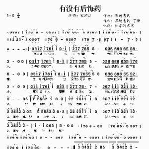 有没有后悔药_歌曲简谱_词曲:苏迪惠民 苏迪惠民 丁炬