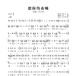 想你的夜晚_歌曲简谱_词曲:陈红卫 王浩