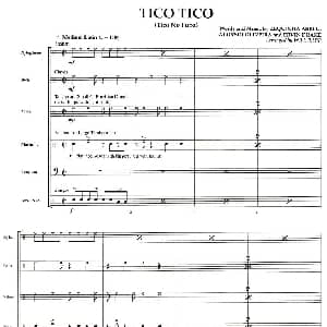 TICO TICO 总谱