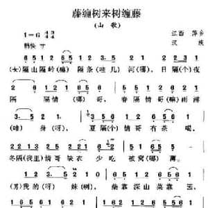 藤缠树来树缠藤_民歌简谱