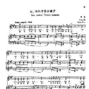 14泪水中长出嫩芽 德国 _外国歌谱_词曲:海涅 舒曼