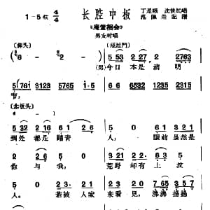 沪剧 今日本是清明节 庵堂相会 选段 丁是娥 沈侠民