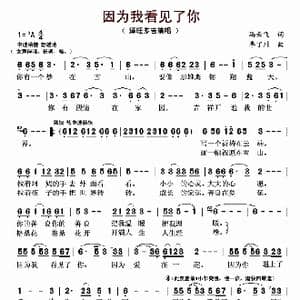 因为我看见了你_歌曲简谱_词曲:冯云飞 李丁川