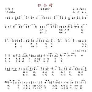 红杉树_歌谱投稿