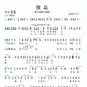候鸟_歌谱投稿