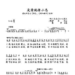 爱情就像小鸟_歌曲简谱_词曲: 意 贝尔法果尔 尼扎 意 伊契尼
