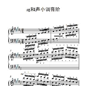 第五级 12.♯g和声小调音阶 中央音乐学院 钢琴 业余 考级教程 4 6级