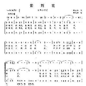 紫荆花_歌曲简谱