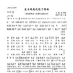 爱上你是吃饱了撑的_歌曲简谱_词曲:王翼焱 王翼焱