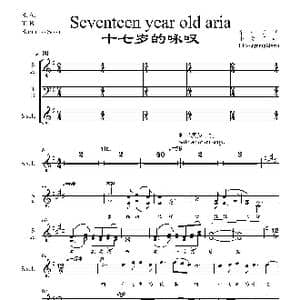 十七岁的咏叹 _歌谱投稿_词曲:宋小明 李文平 2005