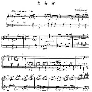 卖杂货 钢琴谱