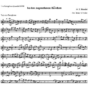 萨克斯谱 | In den angenehmen Buschen 四重奏 高音萨克斯分谱