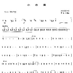小白菜 管子谱