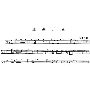 韭菜开花 长号