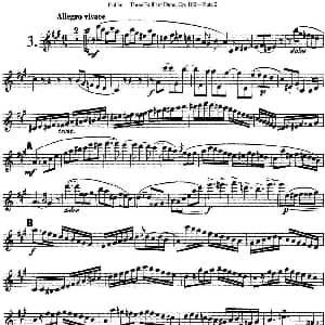 长笛曲谱 | 库劳长笛二重奏练习三段OP.102 Flute 2 NO.3 Kuhlau 库劳