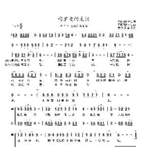 梅里爱的见证_歌曲简谱_词曲:阿德.青梅才仁 阿德.青梅才仁