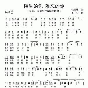 陌生的你 难忘的你_通俗唱法乐谱_词曲:徐高栋 肖宁