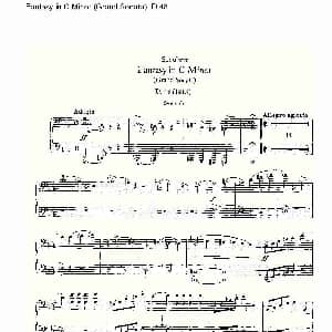Fantasy in C Minor Grand Sonata D.4