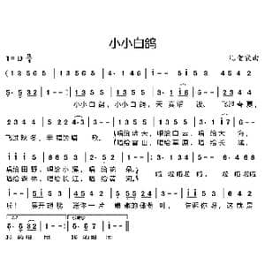 小小白鸽_歌曲简谱