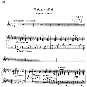 悲叹的小夜曲 意大利 _外国歌谱