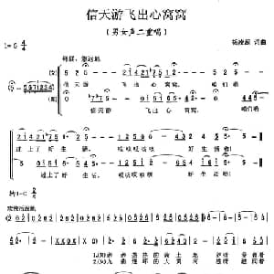 信天游飞出心窝窝_合唱歌谱_词曲:杨凌超 杨凌超