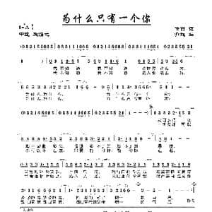 为什么只有一个你_歌曲简谱_词曲:任雪 亦弛